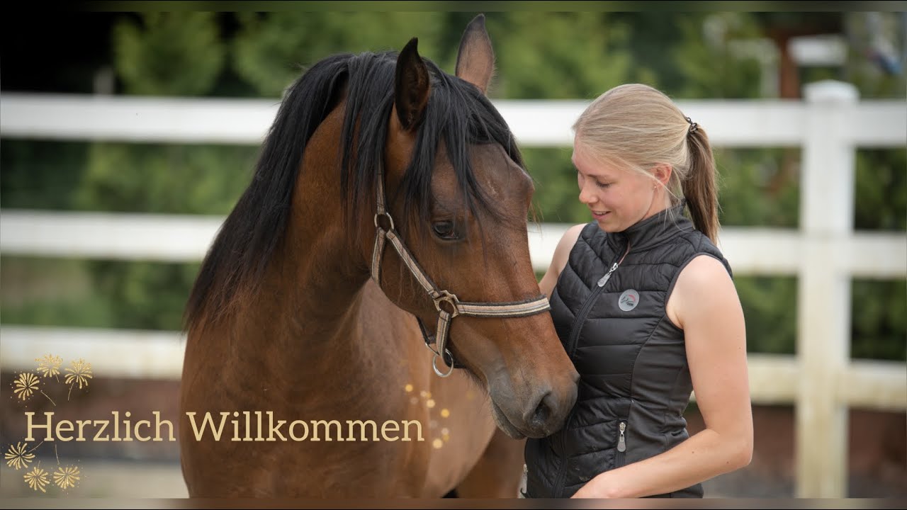 Neues Familienmitglied 🐴   Herzlich Willkommen Zuhause !!!
