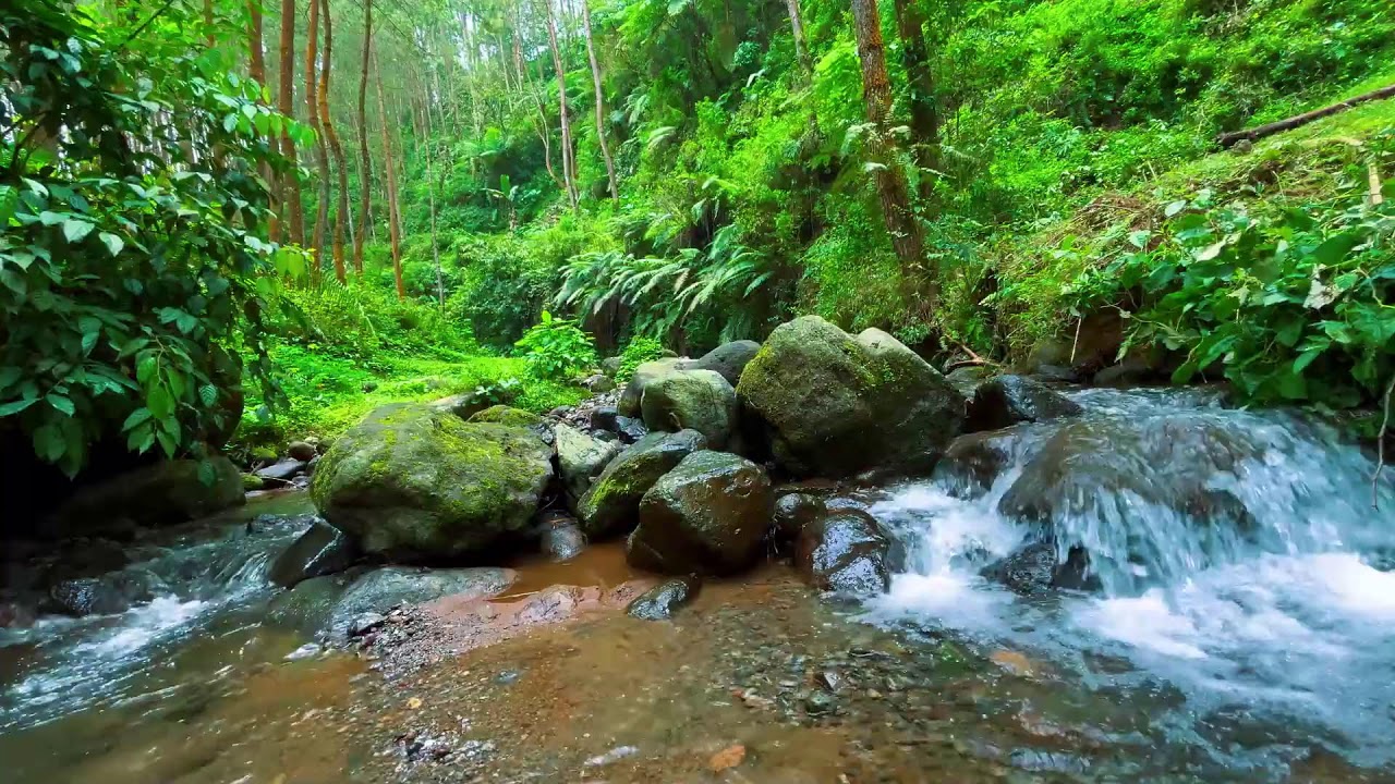 Sleep Better with Peaceful River Sounds | 10 Hours of Relaxing Water White Noise for Insomnia