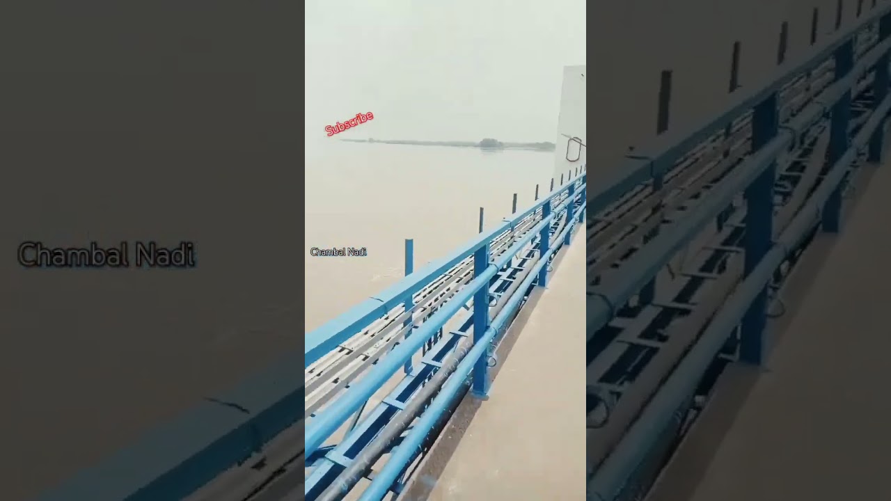 pinahat Chambal shorts reels