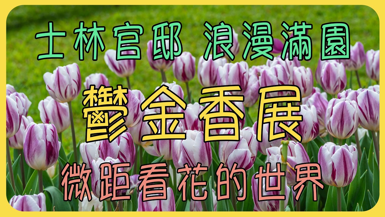 士林官邸鬱金香展 | CKS Shilin Residence Tulip Festival