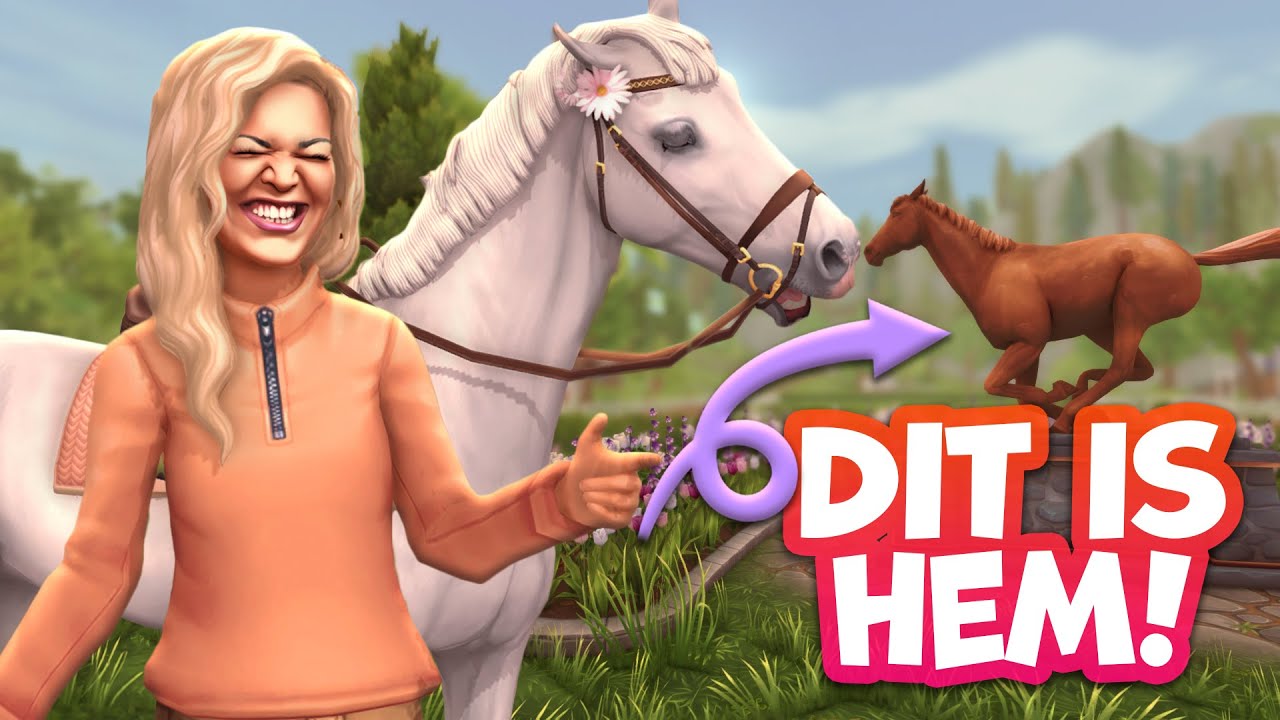😎DIT IS ÉCHT HET BESTE PAARD IN SSO😏💖 | SSO Let's Champ | Riley Macstreet (NL)