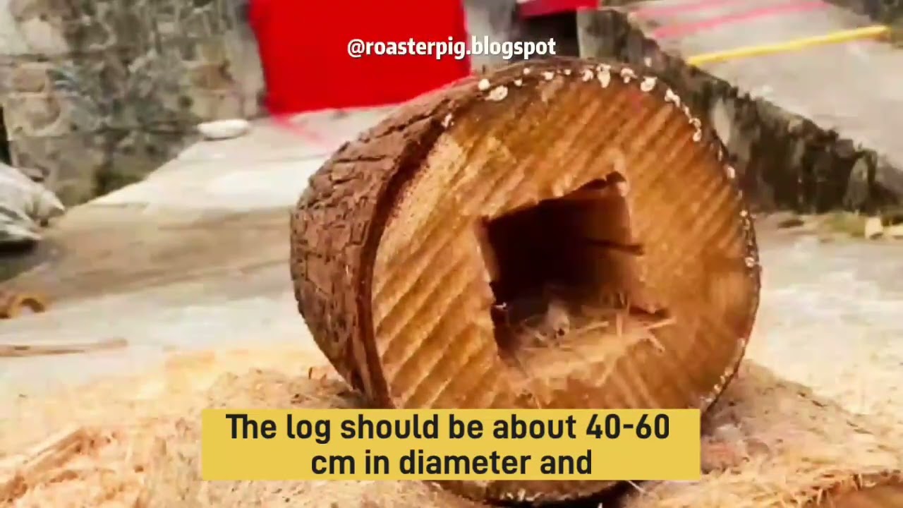 How to Make a Beehive from a Tree Trunk #bee #insect #DIY #beehive