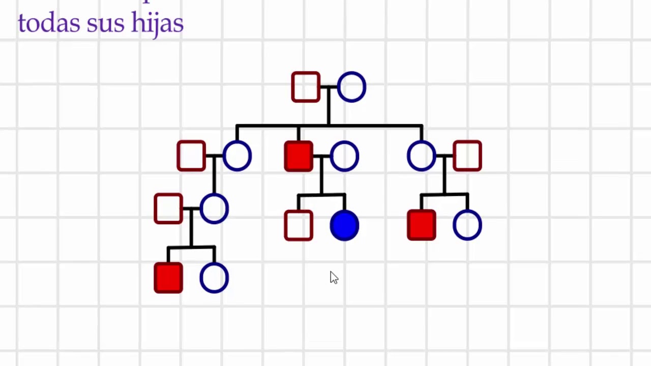 Análisis de Pedigrì herencias ligadas al sexo, resumen