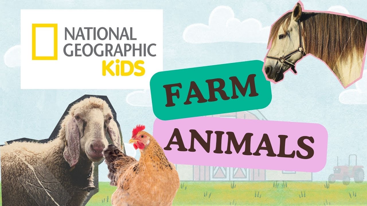 National Geographic Kids: Farm Animals | Learn Animals For Kids
