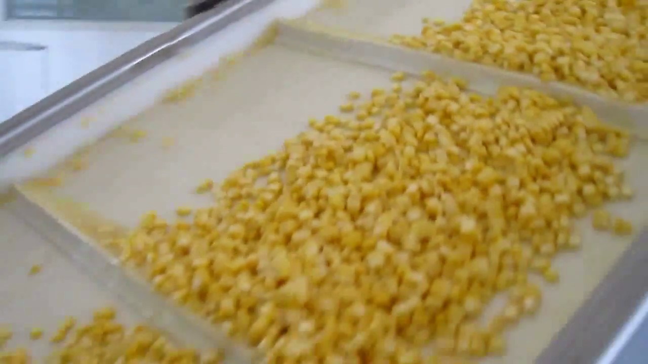 IQF vegetable frozen Line