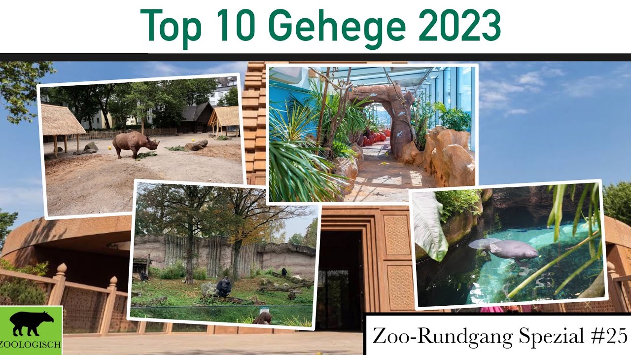 Meine Top 10 Gehege 2023 | Zoo-Rundgang Spezial #25