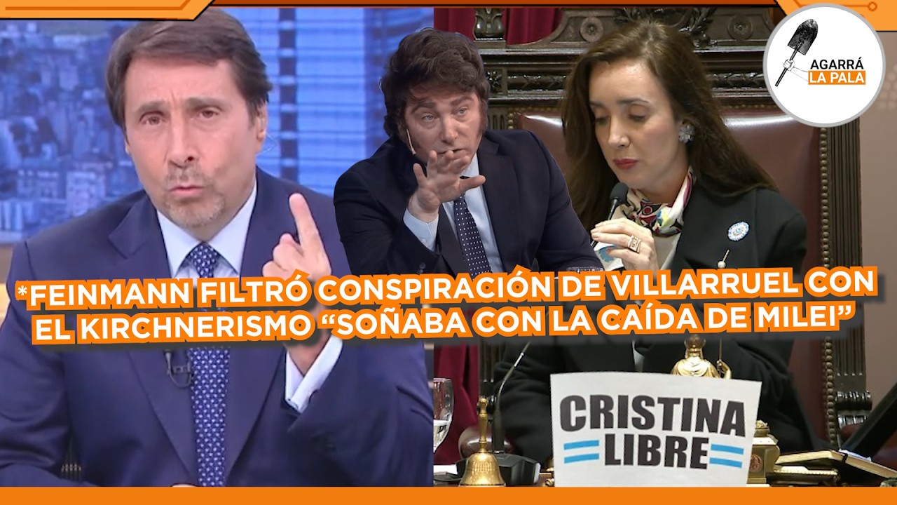 FEINMANN DESCUBRIÓ CONSPIRACIÓN DE VILLARRUEL CON EL KIRCHNERSIMO PARA HACER CAER A MILEI 