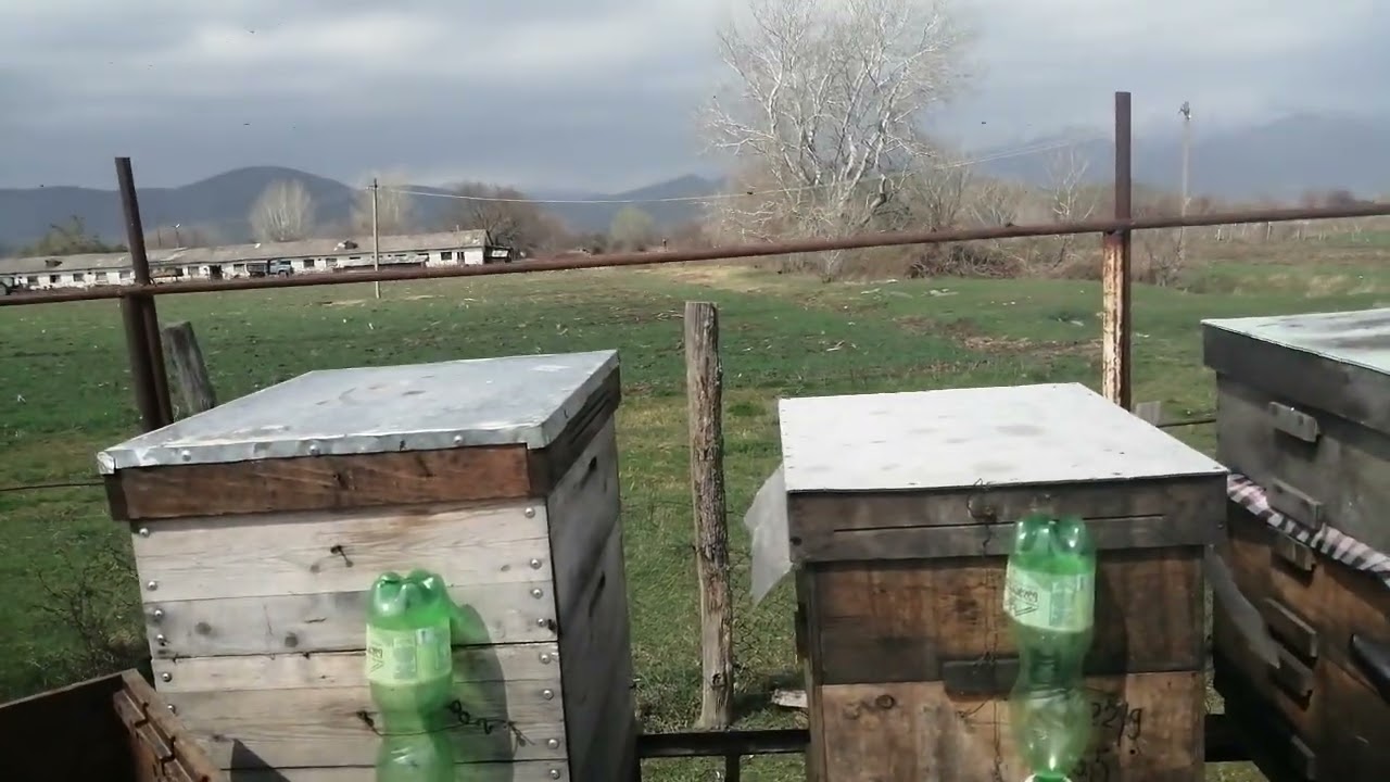 გაძლიერება ბარტყით