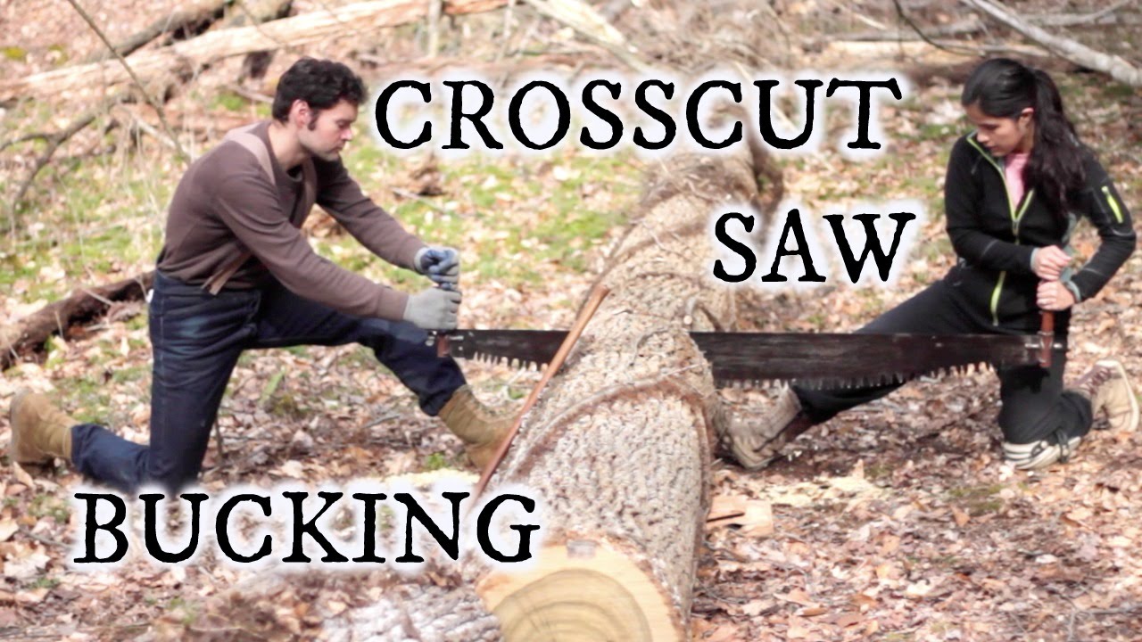 Crosscut saw bucking