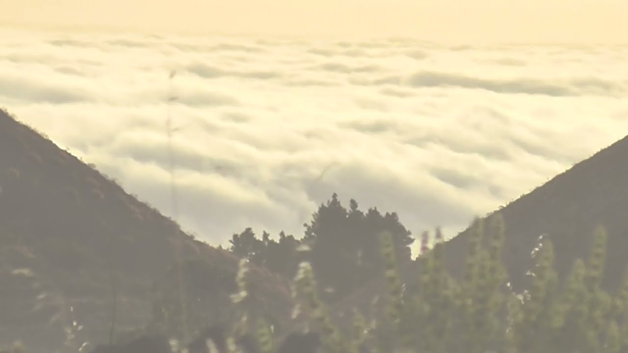 Chuckamuck - Es war so warm