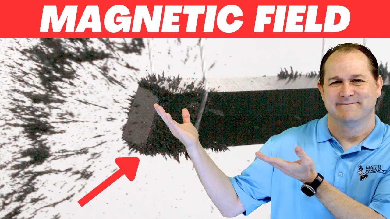 What is Magnetism, Really?  The Magnetic Field Visualized.