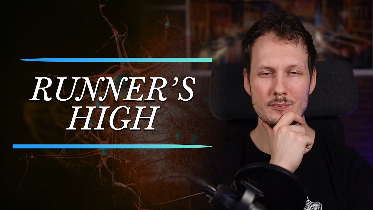 How Running Can Release Endocannabinoids