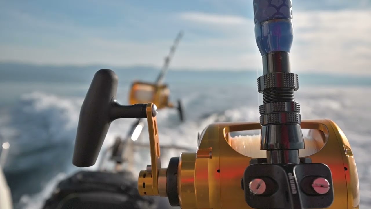 Arvor 230AS | Motor boat for sale | Croatia | Scanboat