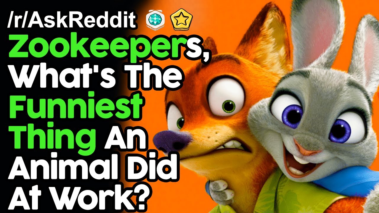 Zookeepers, What's The Funniest Thing An Animal Did At Work? r/AskReddit Reddit Stories  | Top Posts