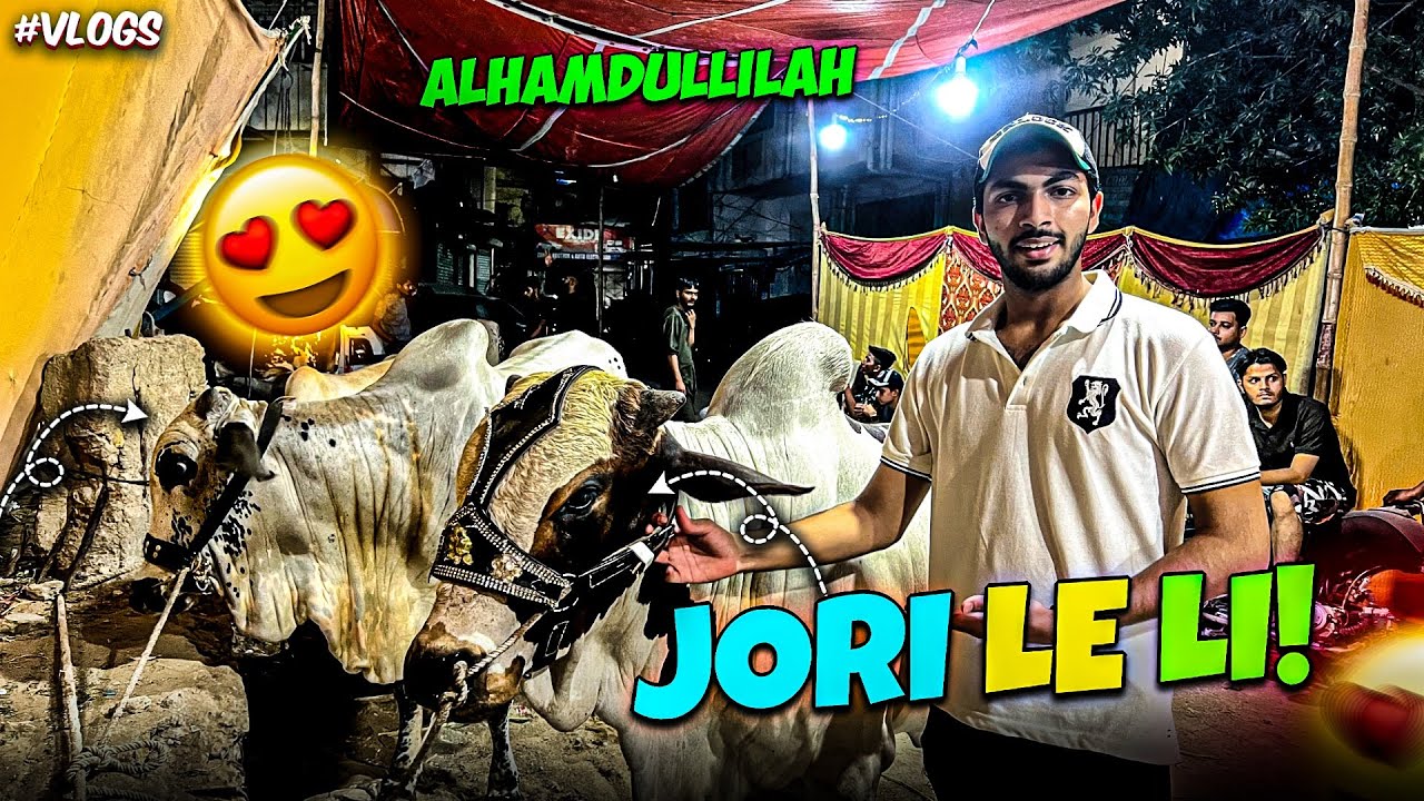 finally Jori le li 🐂 | Aaj phir se mandi loot li 😍