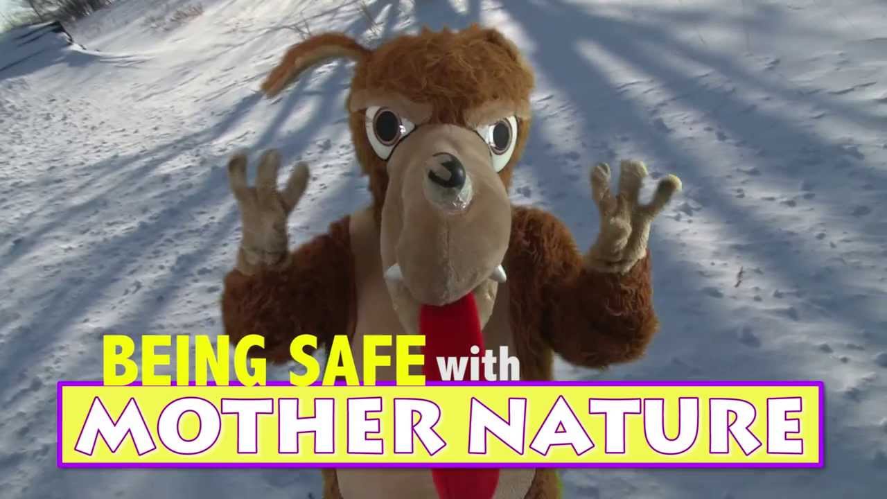 Wild Thing | Animal Safety Video