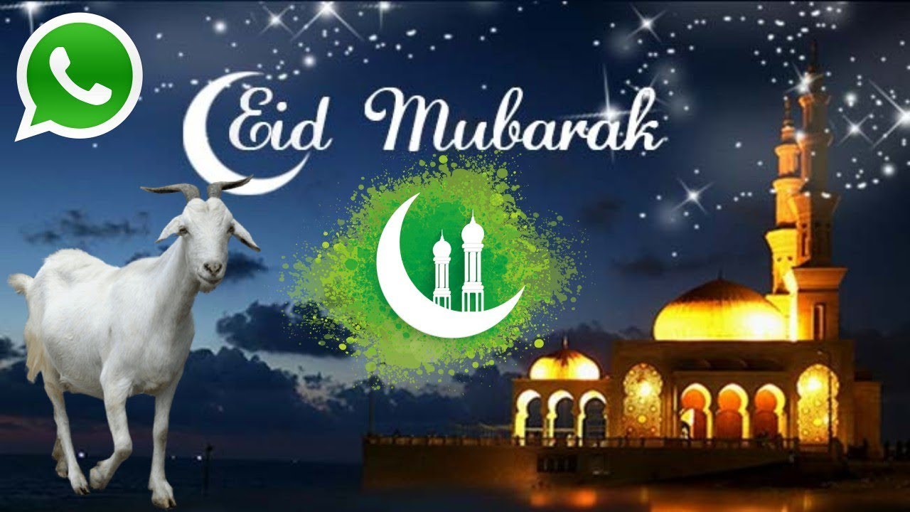 bakra eid whatsapp status video | happy eid mubarak status 2018 | eid mubarak song status | 30 sec