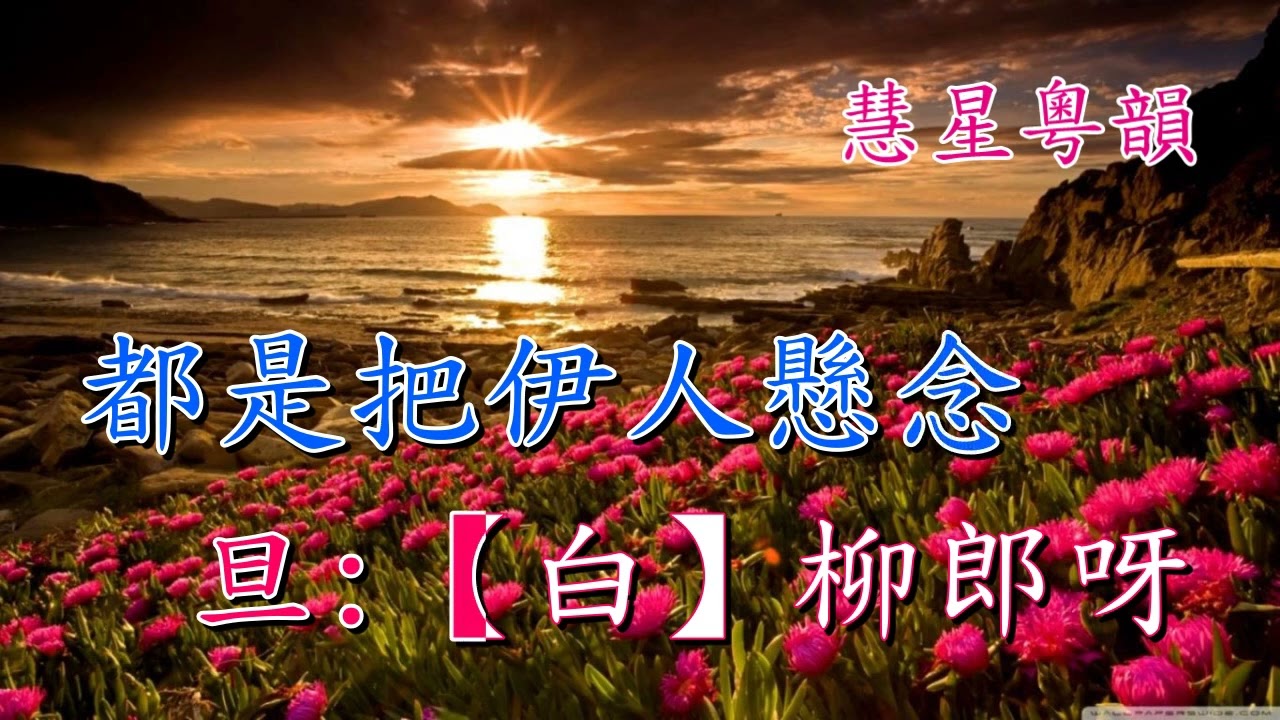 花好月圓   羅家寶 林錦屏