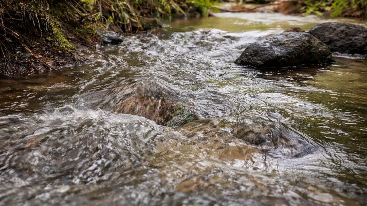 2 Hours of Mountain Water Flow for Insomnia Relief | Fall Asleep Fast