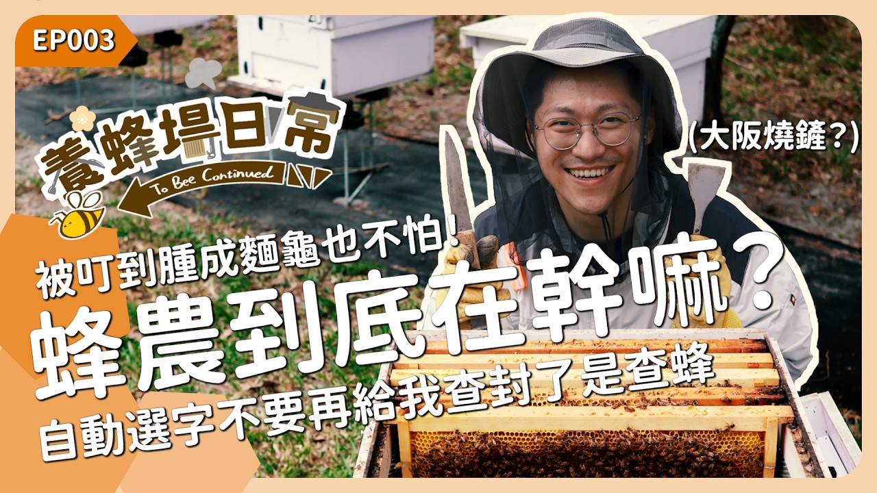 被蜜蜂叮到腫成麵龜！蜂農平常到底在幹嘛？《養蜂場日常 EP003》