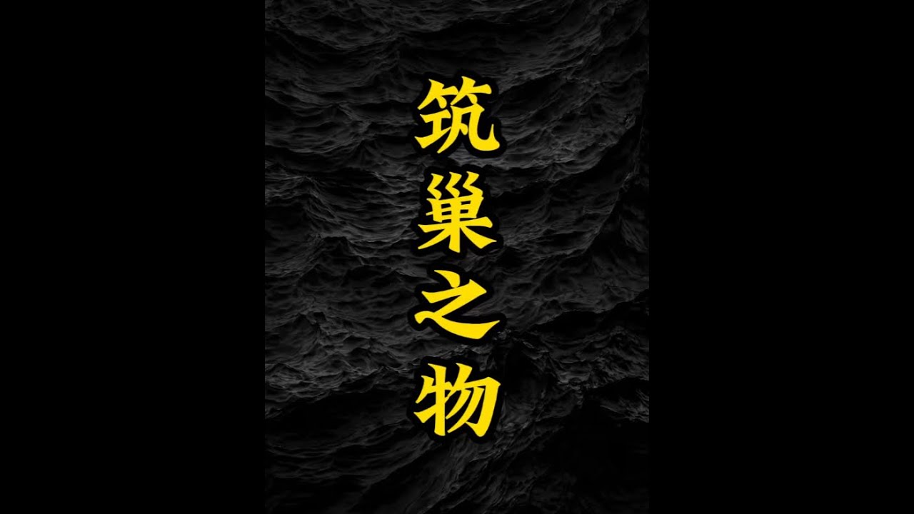筑巢之物。来自日本2ch论坛（现更名5CH）一位匿名网友长达10余年的连续更贴，有人评论说这是2CH最恐最强故事。我翻译完之后觉得一般，但伴眠用还是挺不错的。#睡前故事