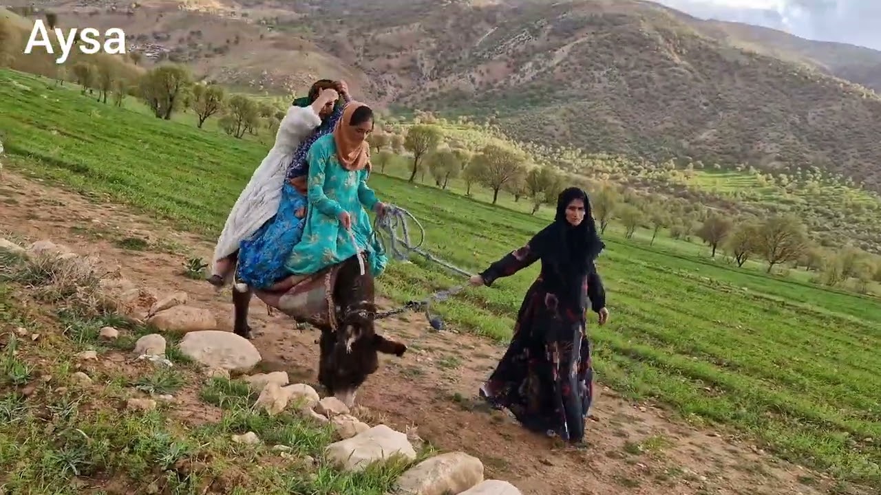 Nomadic Life: A beautiful experience of ass riders in nature