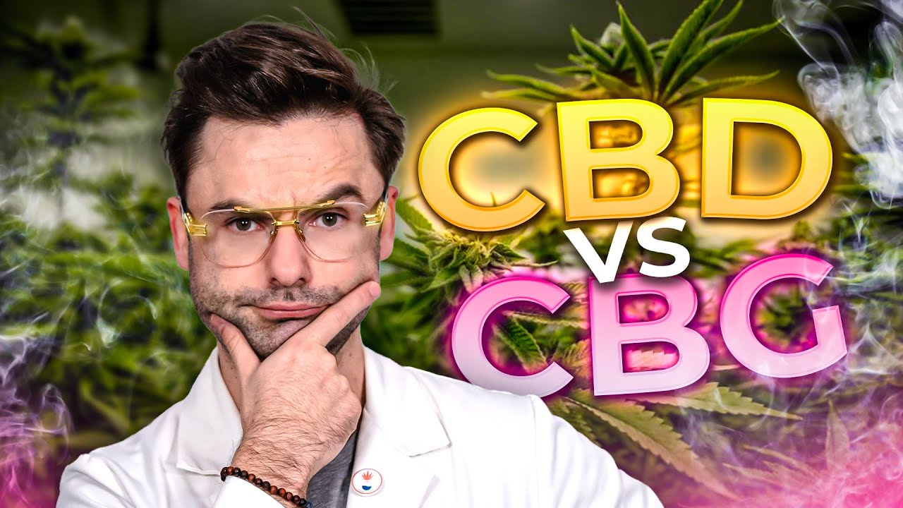 CBD vs. CBG &ndash; kt&oacute;ry kannabinoid wybrać?