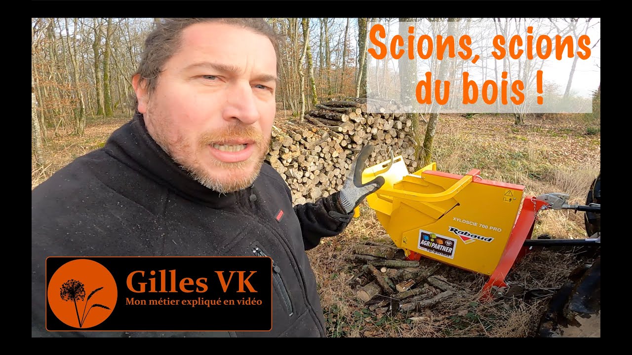 Scions, scions du bois avec une nouvelle scie xyloscie 700 pro et le fendt 411