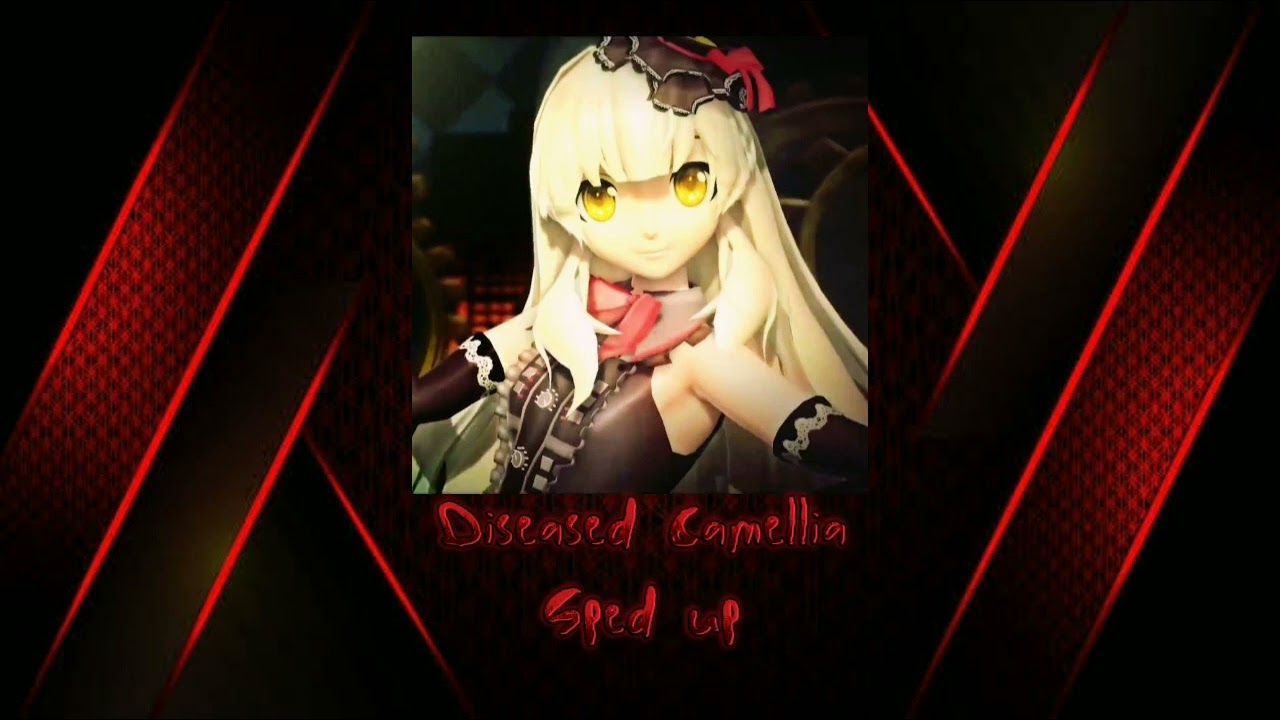 MASA WORKS DESIGN - Diseased Camellia/Yami Tsubaki (SPED UP)
