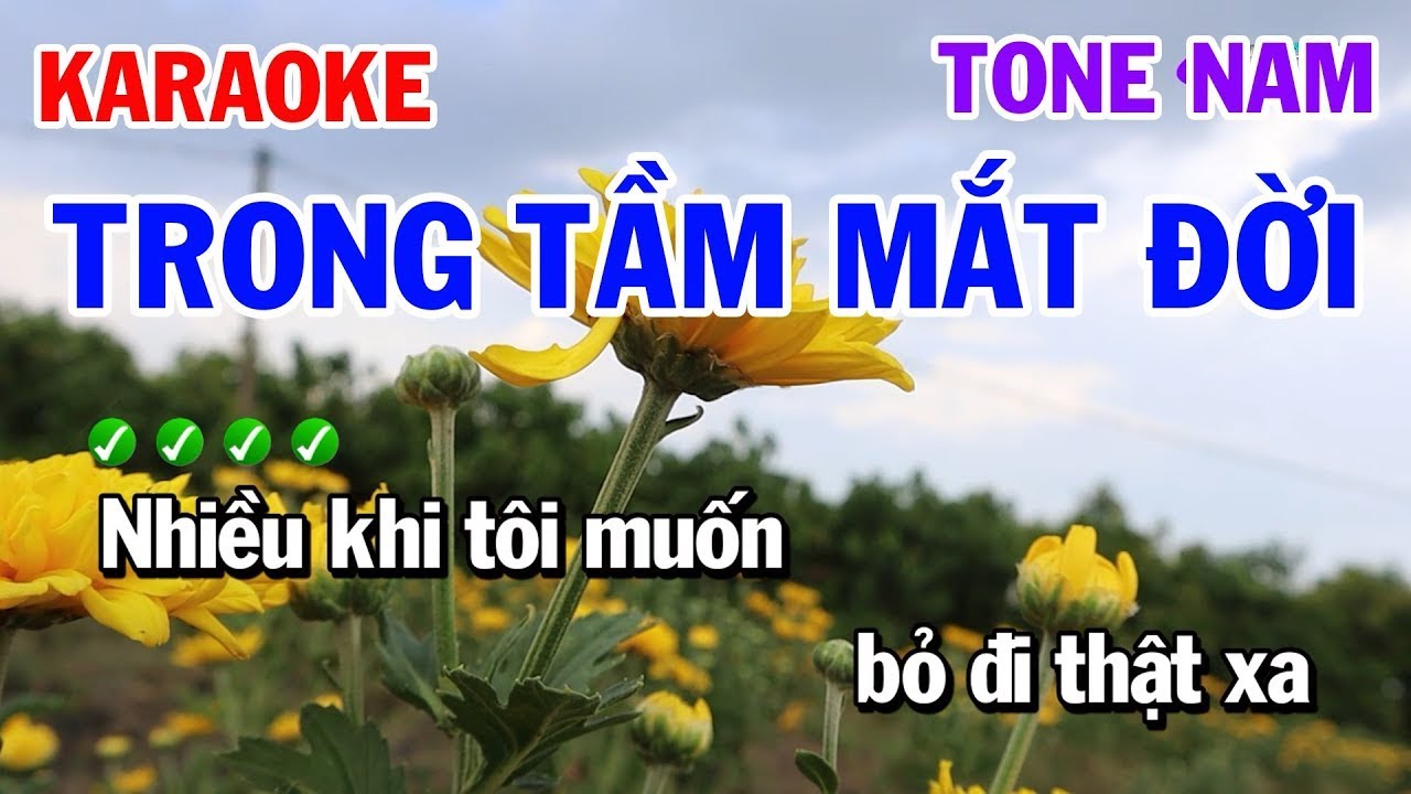Karaoke Trong Tầm Mắt Đời Tone Nam Nhạc Sống Rumba Hay