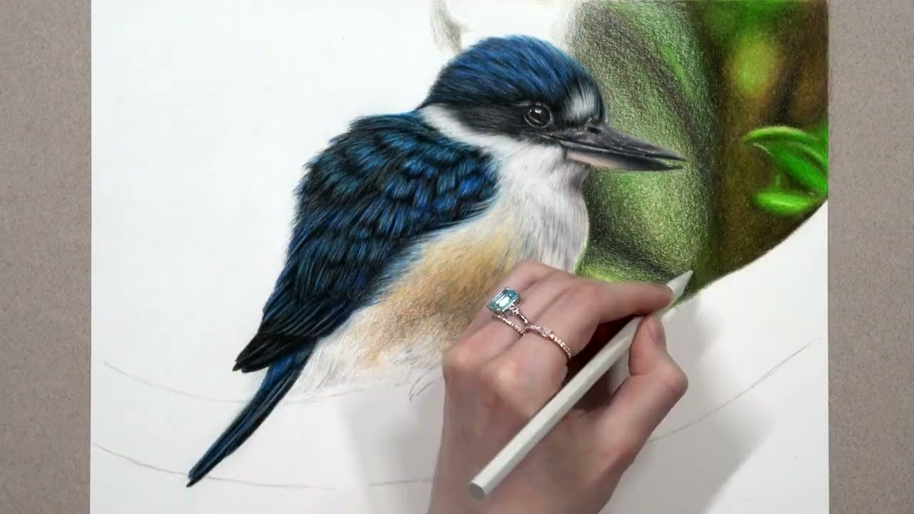 Drawing a bird with Derwent Lightfast coloured pencils