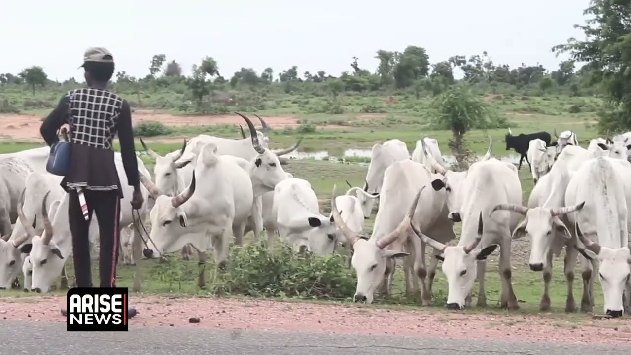 EMPOWERING NORTH-EAST LIVESTOCK FARMERS FOR GROWTH