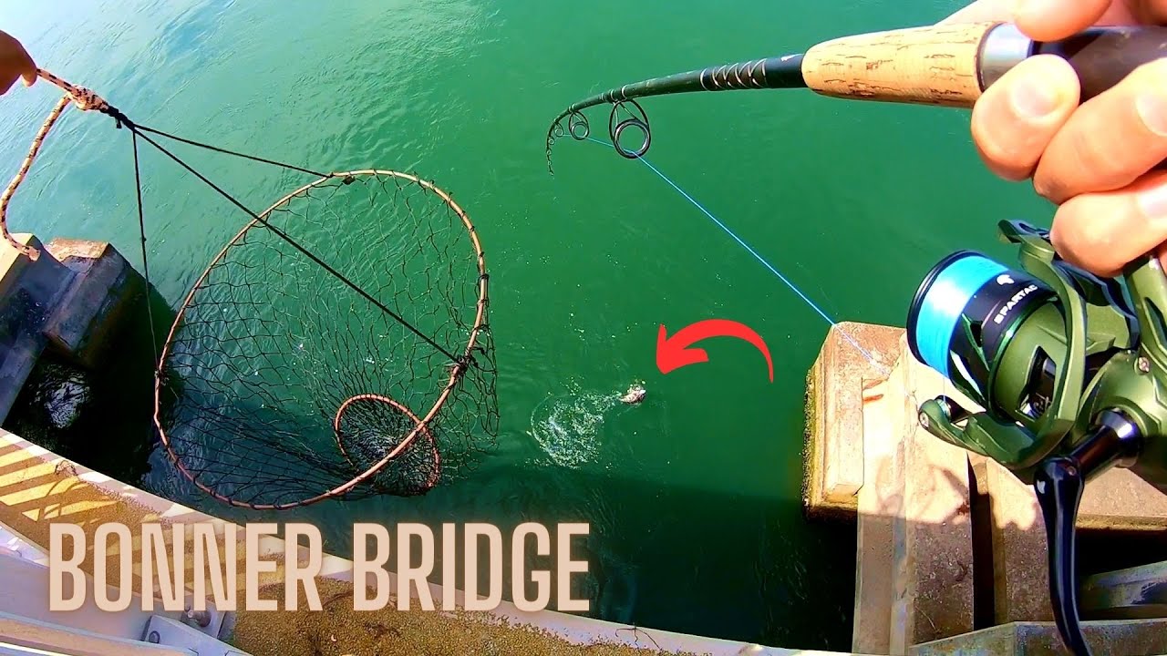 CAUGHT my Bonner Bridge PB on Someone Else's RIG!!!