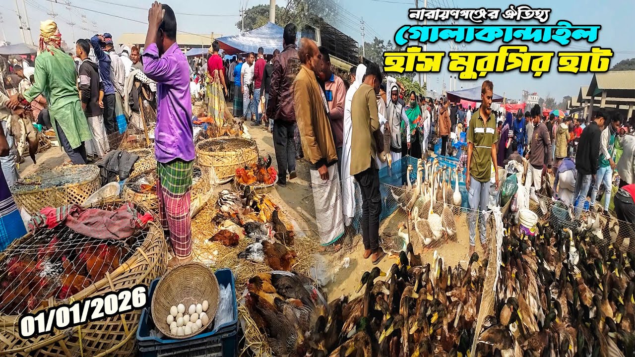 শীত এলেই কেন বাড়ে হাঁস-মুরগির দাম? দেখুন গোলাকান্দাইল হাট | Golakandail Hat 2026