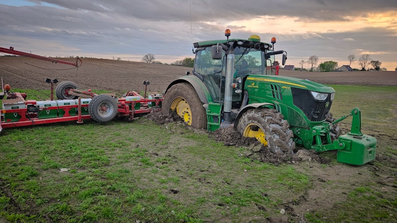 Wtopy, uprawa oraz siew buraków cukrowych || AGROFarm TV