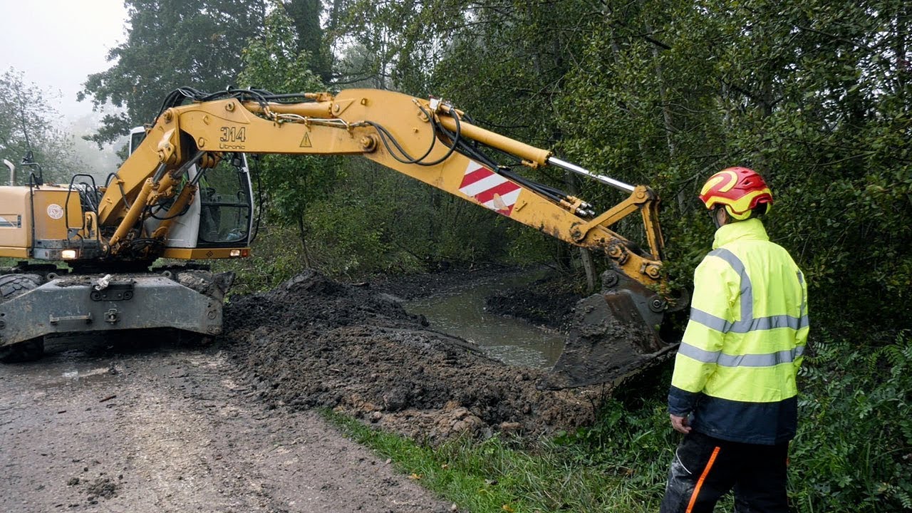 Renaissance d'un bras mort de l'Orge à Leuville sur Orge