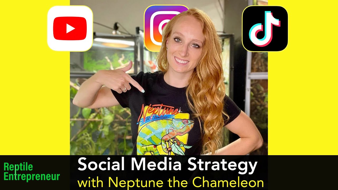 Social Media Strategy for Entrepreneurs