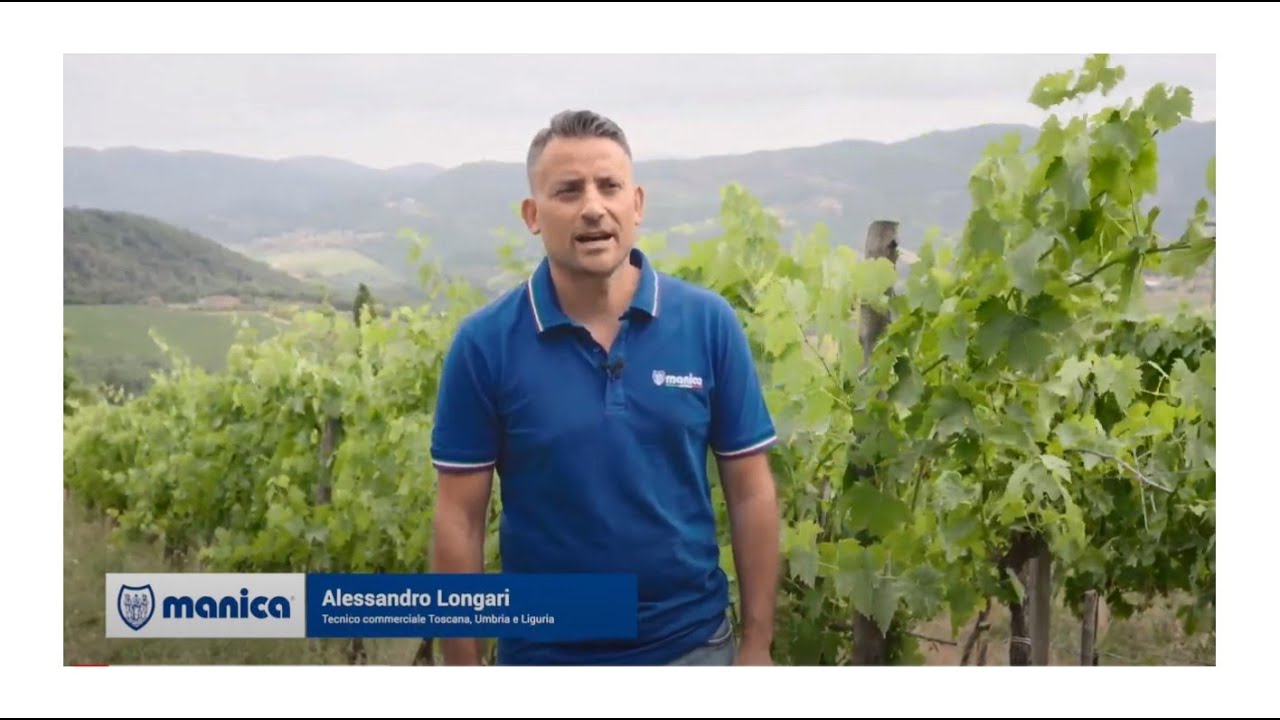 AgroTest su vite: strategia di difesa bio a basso dosaggio di rame, Panzano in Chianti | Manica Spa