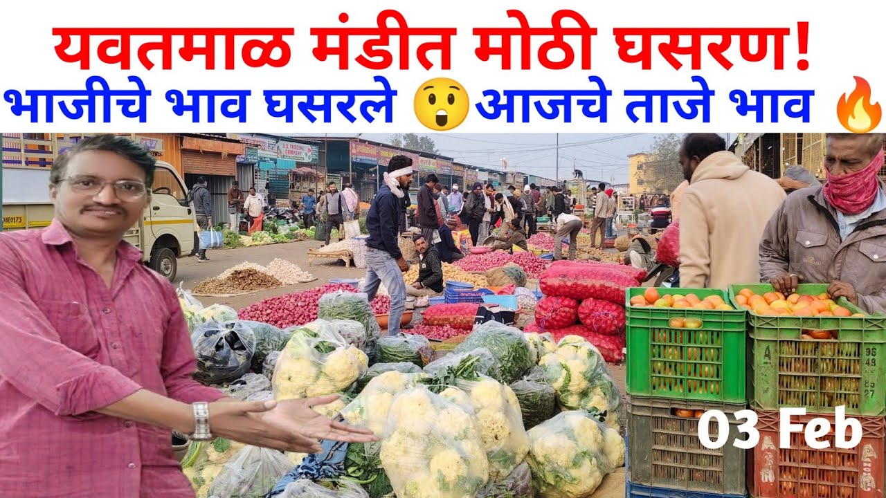 यवतमाळ सब्जी मंडी आजचा बाजारभाव | आवक जास्त, काही भाज्या स्वस्त तर काही स्थिर😱