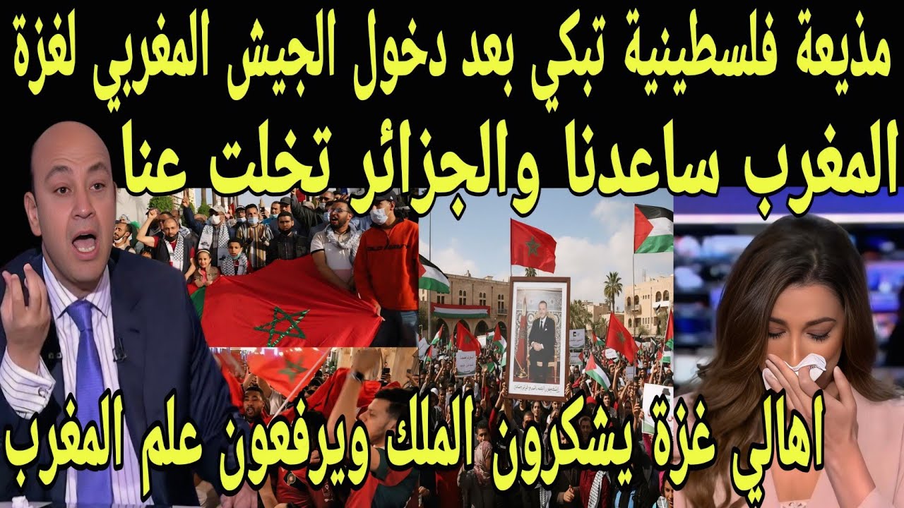 بالفيديو بكاء مذيعه فلسطينيه بعد دخول الجيش المغربي لفلسطين وحماية اهالي غزة ويشكرون ملك المغرب 