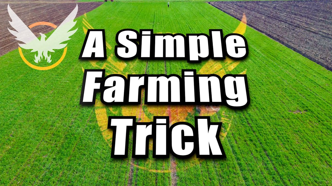 Division 2: A Simple Farming Trick