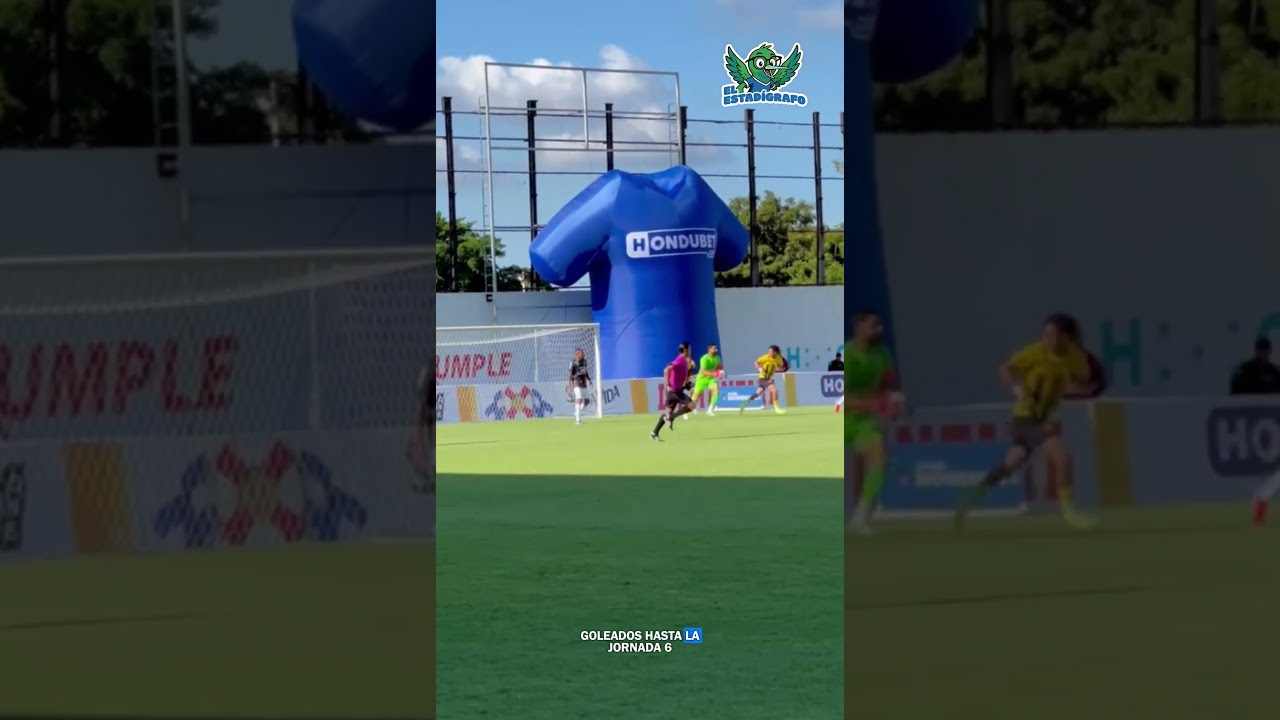 EL ESTAD&Iacute;GRAFO