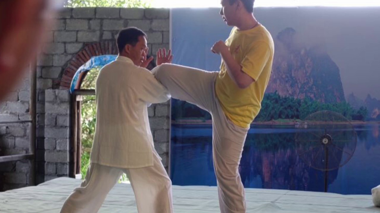 Master Fu Nengbin Summer Camp