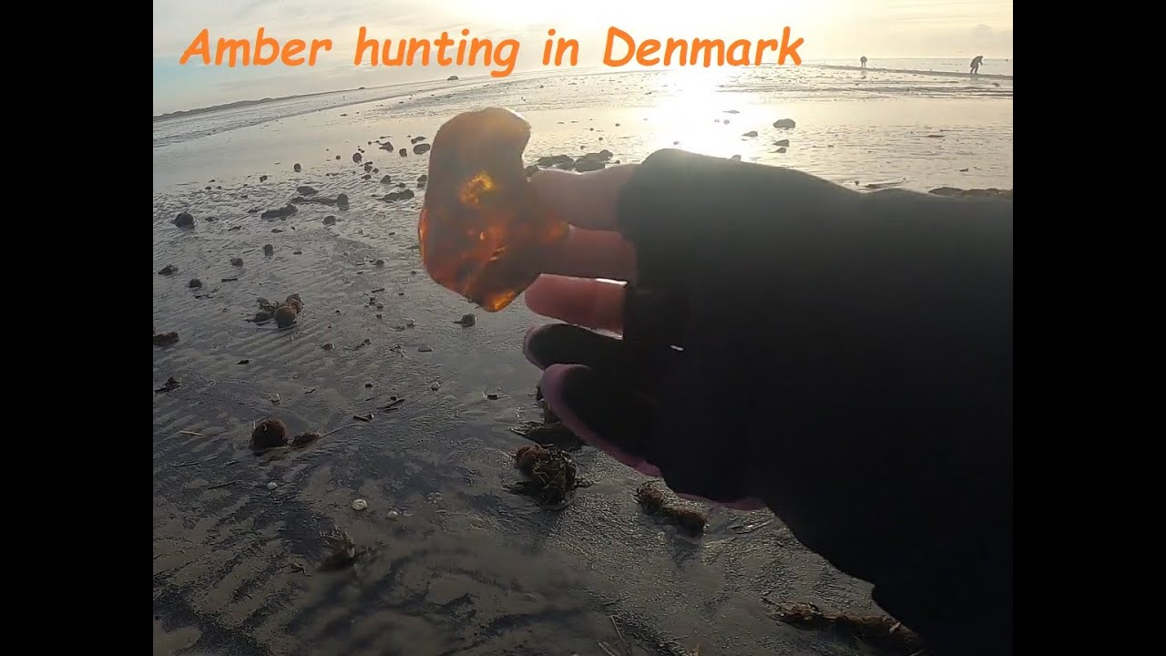 Day trip for amber hunting on the west coast of Denmark.