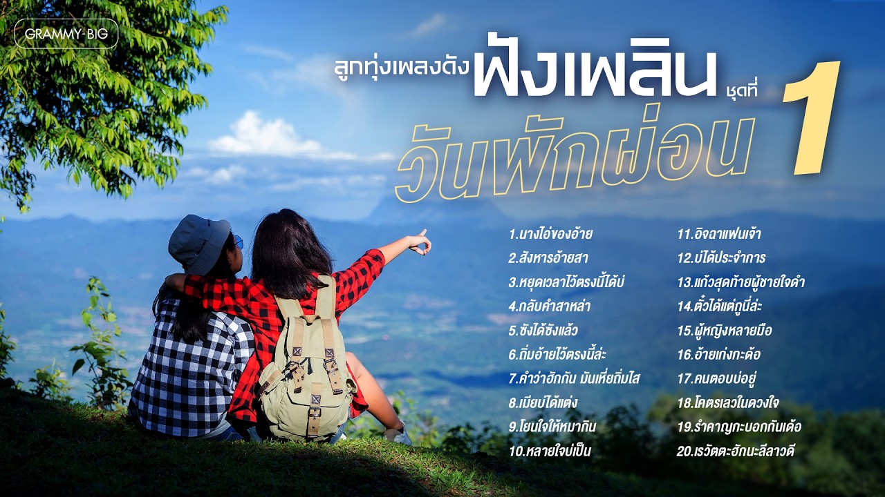 รวมฮิต ลูกทุ่งเพลงดัง ฟังเพลินวันพักผ่อน ชุดที่ 1 l นางไอ่ของอ้าย, สังหารอ้ายสา, ซังได้ซังแล้ว