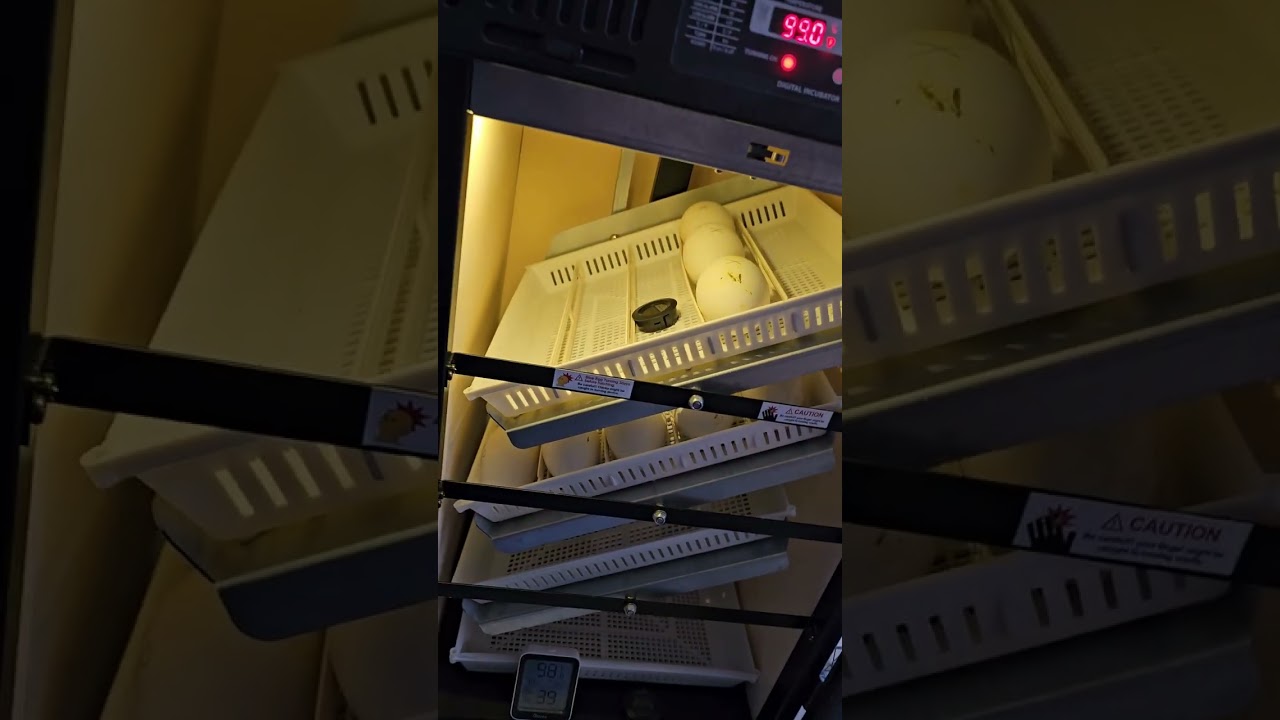 Hygrometer part 2