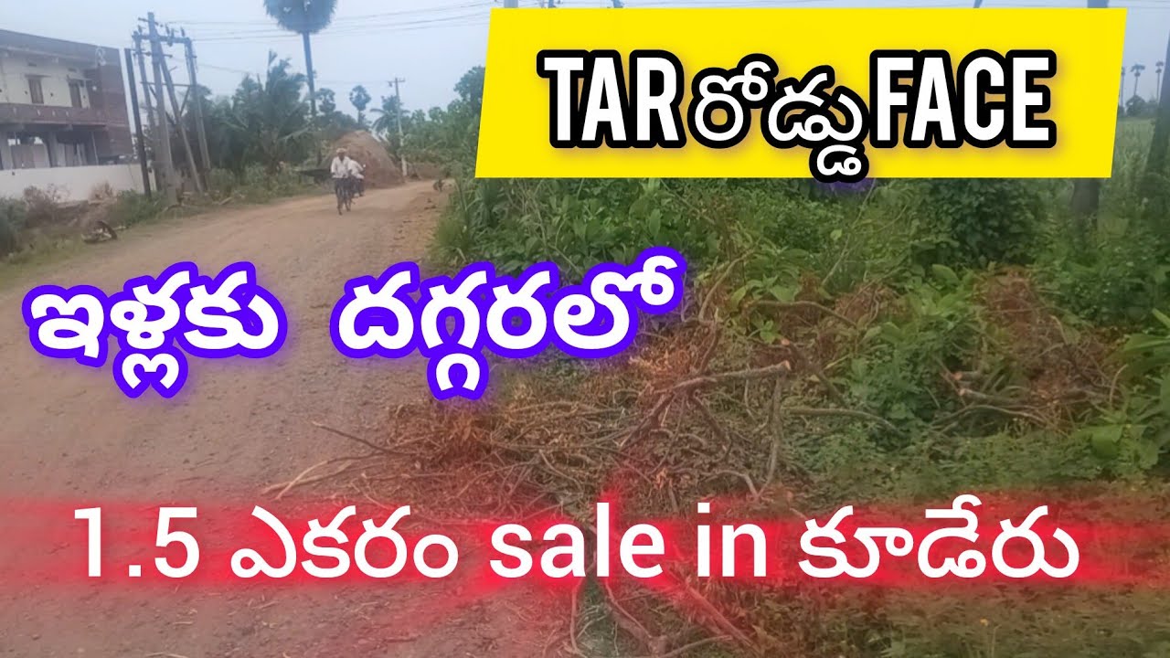 SOLDOUT 1.5 acre sale in కూడేరు, డబల్ రోడ్డు face,Near అవనిగడ్డ కరకట్ట కృష్ణాపురం -9940013125-AD 215