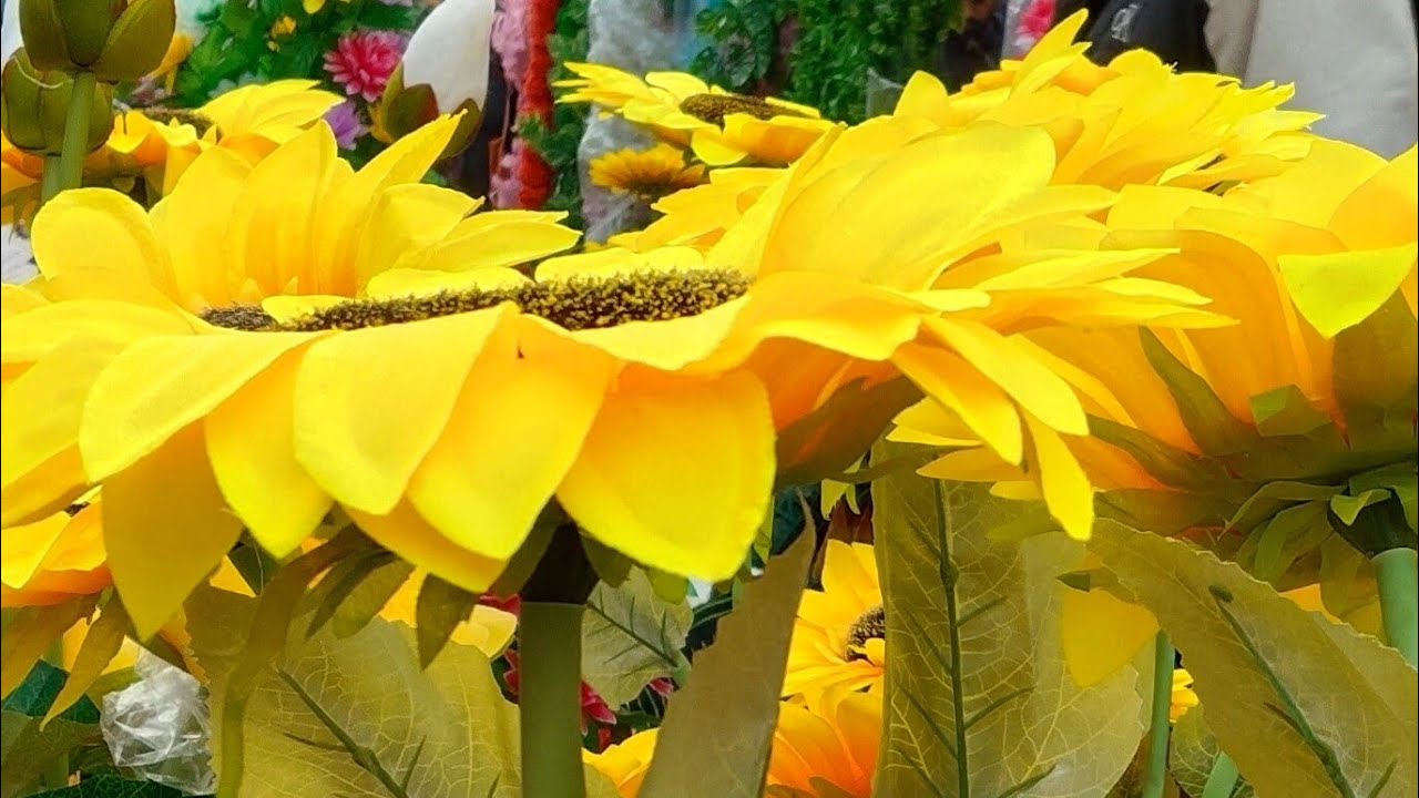 Seema Sharma is live!#😍🥰🌹🙏