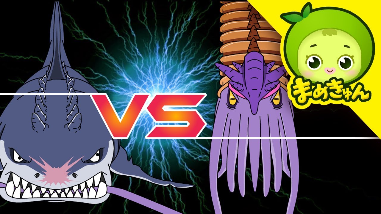 メガロドン VS アンモナイト | 恐竜バトル | ティラノサウルス | dinosaur battle | まめきゅん MAMEKYUNN