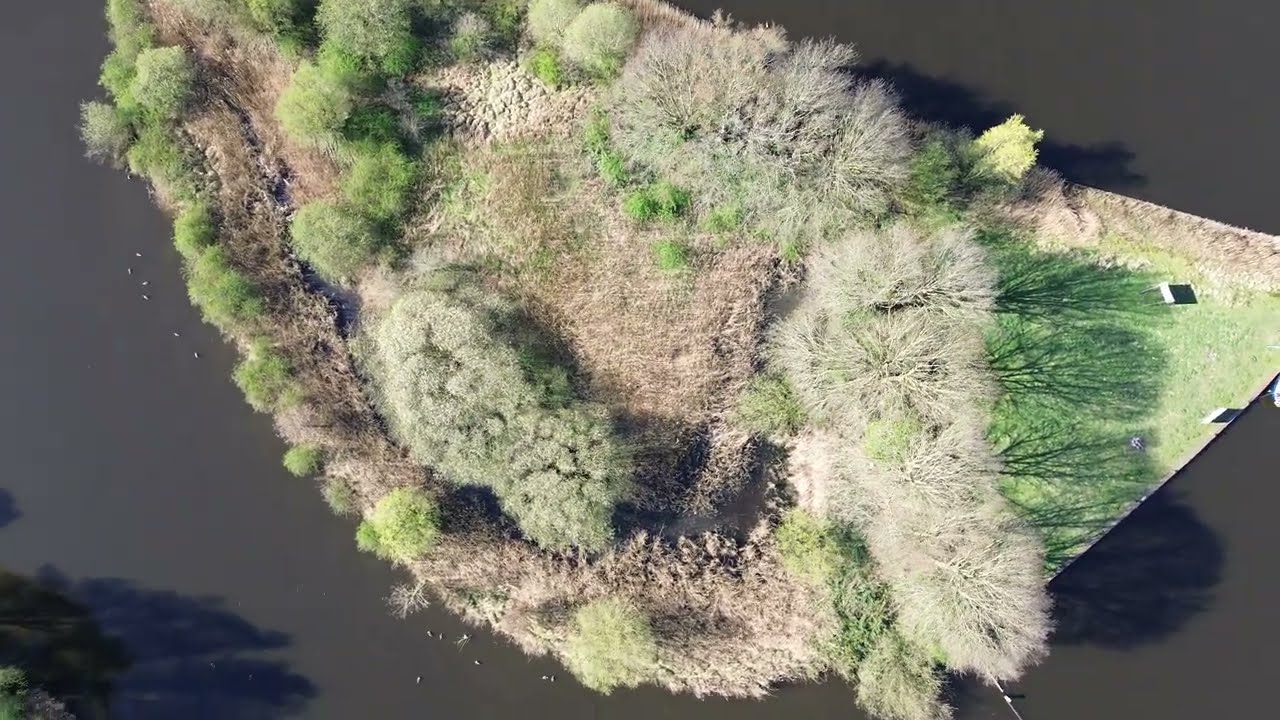 Rivier de Eem : Vogel eiland Zeldert